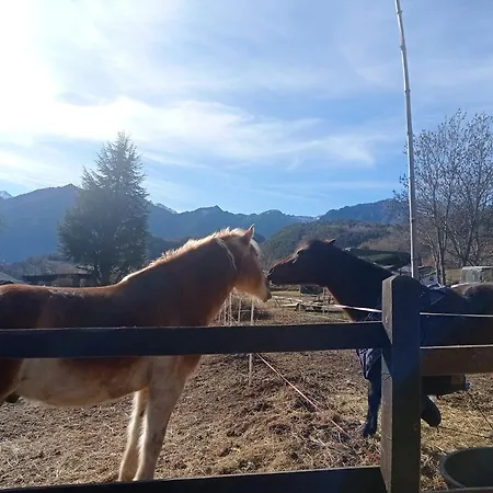 With Pool In Villa-nabian - 65 M² - 4 People Challand Saint Victor